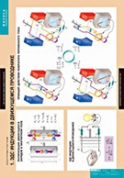 Физика. Электромагнетизм (комплект таблиц) - «globural.ru» - Махачкала
