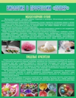 Стенд "Биология в профессии повар" - «globural.ru» - Махачкала