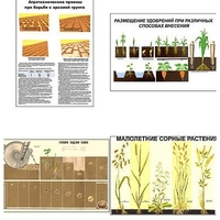 Плакаты ПРОФТЕХ "Агрономия" (5 пл, винил, 70х100) - «globural.ru» - Махачкала