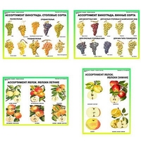 Плакаты ПРОФТЕХ "Ассортимент плодово-ягодных культур" (19 пл, винил, 70х100) - «globural.ru» - Махачкала