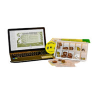 Коллекция натурально-интерактивная "Палеонтологическая" - «globural.ru» - Махачкала