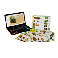 Коллекция натурально-интерактивная "Шишки, плоды, семена деревьев и кустарников" - «globural.ru» - Махачкала