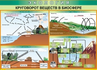 Таблица Круговорот веществ в биосфере 1000*700 винил - «globural.ru» - Махачкала