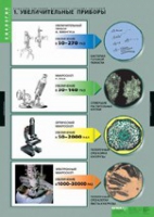 Биология. Вещества растений, клеточное строение (комплект таблиц) - «globural.ru» - Махачкала