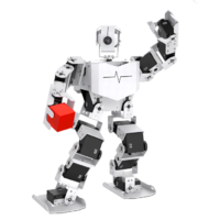 Базовый робототехнический набор  "Техник" для изучения систем управления робототехническими комплексами и андроидными роботами "Сережа ИН Про". Полный комплект на Raspbery Pi - «globural.ru» - Махачкала