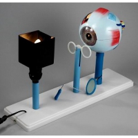 Модель "Зрение" - «globural.ru» - Махачкала