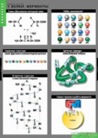 Биология. Химия клетки (комплект таблиц) - «globural.ru» - Махачкала