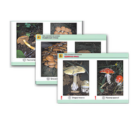 Комплект таблиц раздаточных "Грибы съедобные и несъедобные" - «globural.ru» - Махачкала