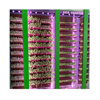 Вертикальная ферма "Моя Микрозелень" комплектация Школьная - «globural.ru» - Махачкала