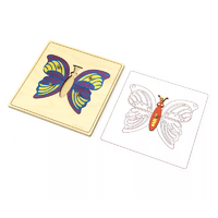 Строение бабочки с контуром. - «globural.ru» - Махачкала