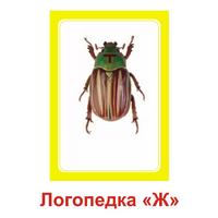 Логопедка "Ж" (логопедические карточки) - «globural.ru» - Махачкала