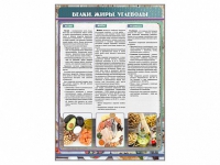 Стенд "Белки. Жиры. Углеводы" - «globural.ru» - Махачкала