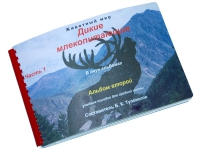 Пособие для слабовидящих "Дикие млекопитающие" - «globural.ru» - Махачкала