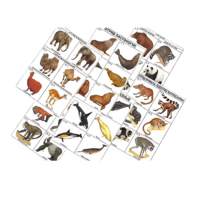 Комплект таблиц по зоологии раздаточных "Разнообразие животных. Млекопитающие." (цвет.,лам., формат А4, 16 штук) - «globural.ru» - Махачкала