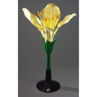 Модель Цветок капусты - «globural.ru» - Махачкала