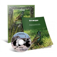 Электронное наглядное пособие «Птицы» - «globural.ru» - Махачкала