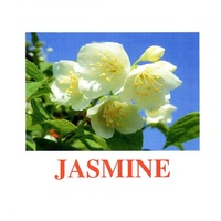 "Flowers-2" ("Цветы-2") английские карточки Домана - «globural.ru» - Махачкала