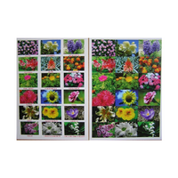 Английское лото "Цветы - травы" - «globural.ru» - Махачкала