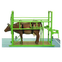 Наглядный макет «Методы и устройства для фиксации КРС» - «globural.ru» - Махачкала