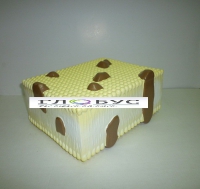 Модель Строение клеточной оболочки - «globural.ru» - Махачкала