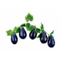 Ветка муляжей "Баклажаны" - «globural.ru» - Махачкала