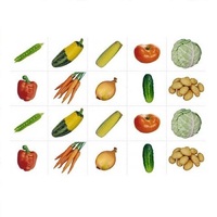 Комплект карточек. Серия наглядных пособий "Запоминай, играй, считай". Овощи. - «globural.ru» - Махачкала