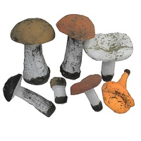 Набор муляжей грибов 7 штук - «globural.ru» - Махачкала