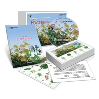 Комбинированное наглядное пособие «Растения» - «globural.ru» - Махачкала