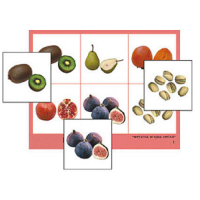 Лото "Фрукты, ягоды, орехи" (4 планшета, 24 карточки, цветное, ламинированное) - «globural.ru» - Махачкала