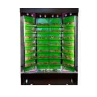 Вертикальная ферма "Моя Микрозелень" комплектация "Театро настольная" - «globural.ru» - Махачкала