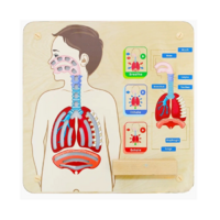 Панель "Дыхательная система" - «globural.ru» - Махачкала