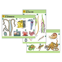 Комплект таблиц по биологии демонстрационный "Зоология 1" (14 таблиц, формат А1, лам.) - «globural.ru» - Махачкала