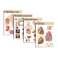 Комплект таблиц по биологии демонстрационный "Человек и его здоровье 1" (20 таблиц, формат А1, лам.) - «globural.ru» - Махачкала