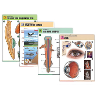 Комплект таблиц по всему курсу биологии (120 штук, формат А1, полноцв, лам) - «globural.ru» - Махачкала