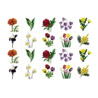 Комплект карточек. Серия наглядных пособий "Запоминай, играй, считай". Цветы. - «globural.ru» - Махачкала