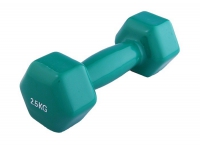 Гантель виниловая 2,5 кг - «globural.ru» - Махачкала