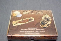 Коллекция "Формы сохранности ископаемых растений и животных" - «globural.ru» - Махачкала