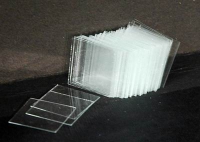 Стекло покровное (упаковка 100 штук) - «globural.ru» - Махачкала