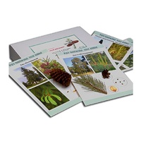 Коллекция "Голосеменные растения" (вариант 2) - «globural.ru» - Махачкала