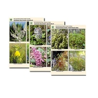 Комплект таблиц по ботанике раздаточных"Многообразие растений. Лесные и луговые" (16 штук, формат А4, лам) - «globural.ru» - Махачкала