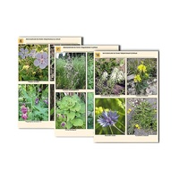 Комплект таблиц по ботанике раздаточных "Многообразие растений. Придорожные и сорные" (16 штук, формат А4, лам) - «globural.ru» - Махачкала