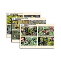 Комплект таблиц по ботанике раздаточных "Многообразие растений. Водные и прибрежные" (16 штук, формат А4, лам) - «globural.ru» - Махачкала