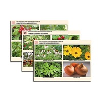 Комплект таблиц по ботанике раздаточных "Многообразие растений. Лекарственные и ядовитые"(16 штук, формат А4,лам) - «globural.ru» - Махачкала