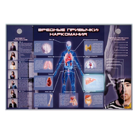 Электрифицированный стенд "Вредные привычки: наркомания" - «globural.ru» - Махачкала