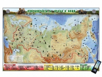 Электронно-информационный (маркерный) стенд "Природа России" адаптивный, с сенсорным пультом управления и планшетом со шрифтом Брайля (география) - «globural.ru» - Махачкала