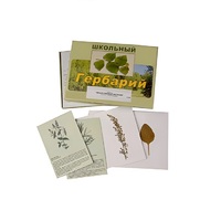 Гербарий "Лекарственные растения" (22 вида, с иллюстрациями) - «globural.ru» - Махачкала