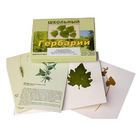 Гербарий "Систематика растений. Высшие споровые и семенные" (раздаточный) - «globural.ru» - Махачкала