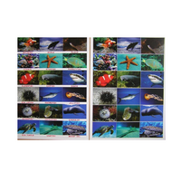 Английское лото "Подводный мир" - «globural.ru» - Махачкала