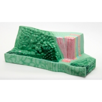 Модель "Структура листа" - «globural.ru» - Махачкала