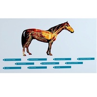 Стенд-планшет светодинамический "Изучение кровеносной системы сельскохозяйственных животных" со сменными панелями - «globural.ru» - Махачкала